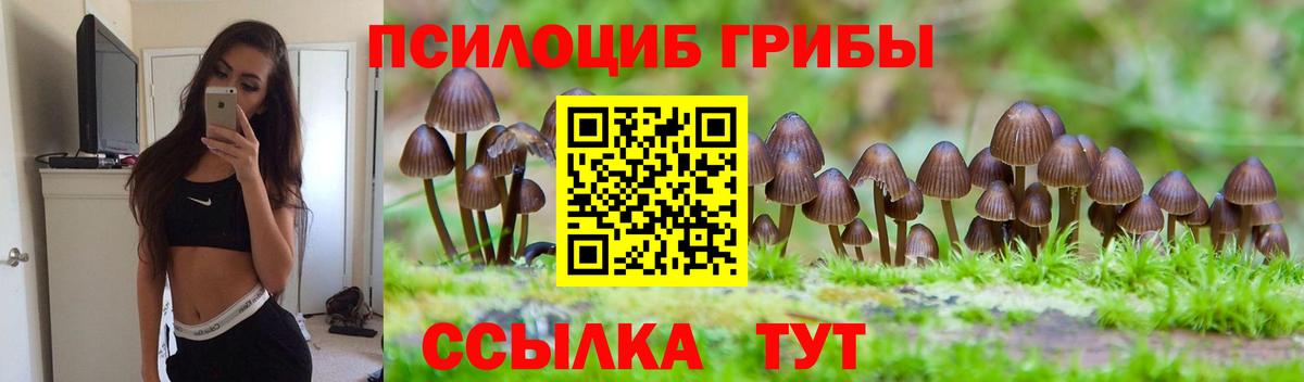 Псилоцибиновые грибы Cubensis Евпатория