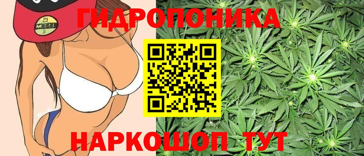 Конопля ГИДРОПОН Евпатория